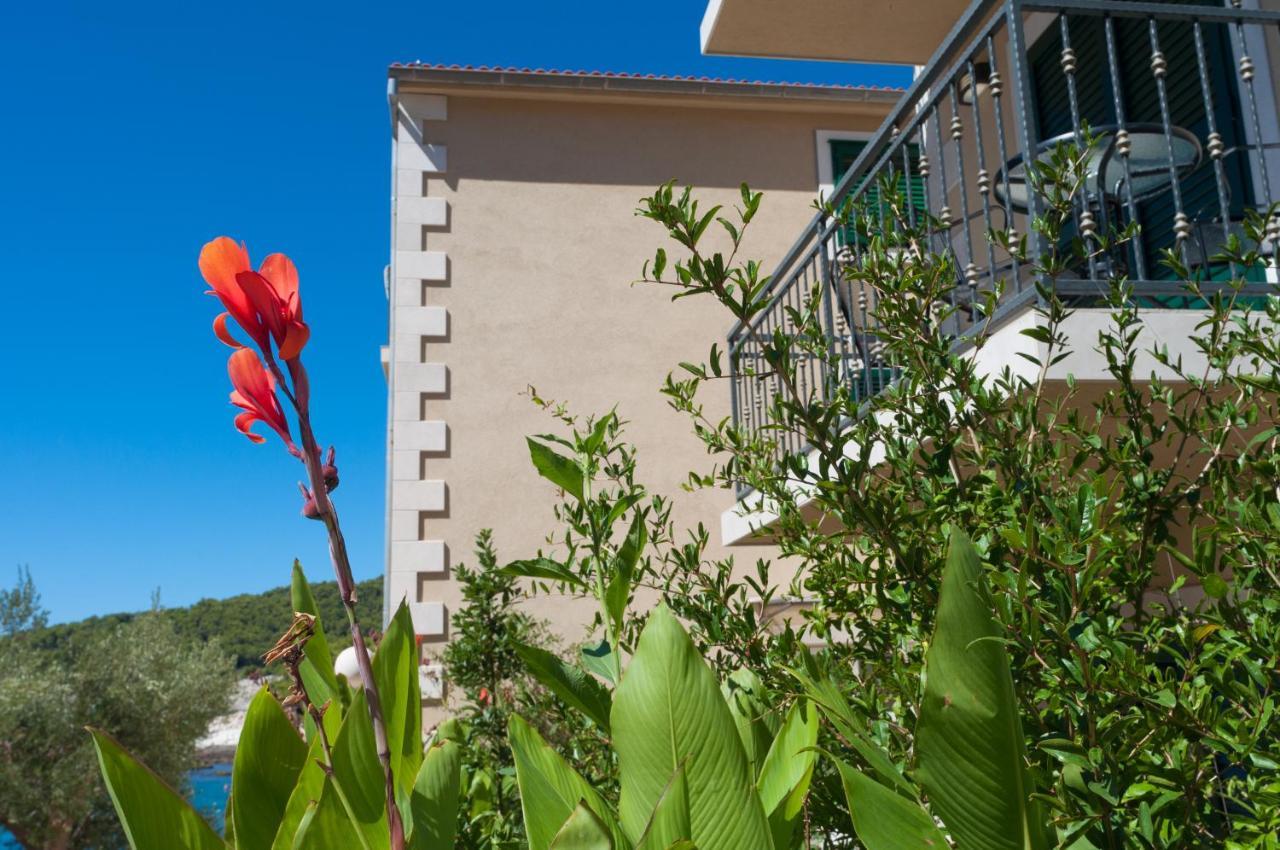 Fortuna Hotel